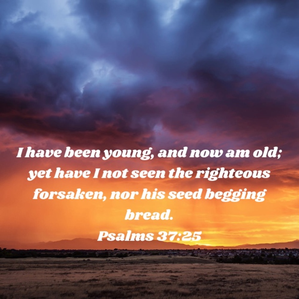 ✨All Menswear $25 or more FREE SHIPPING ✨